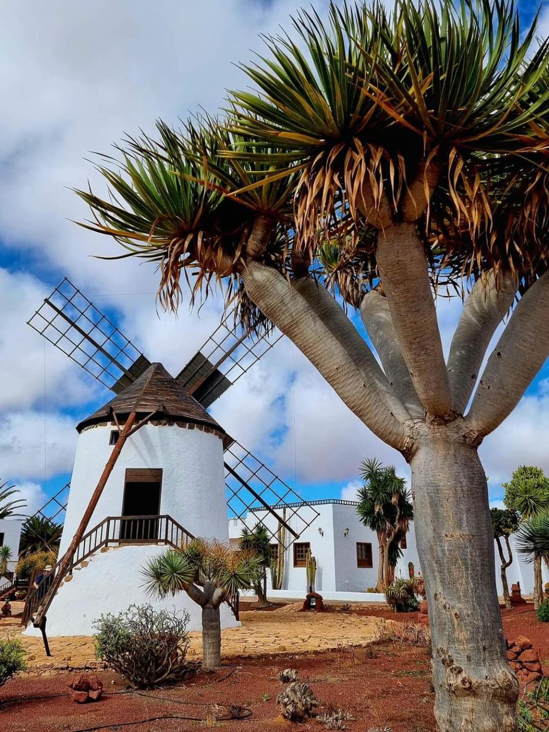 Casa Del Mar Air-Conditioned Apartment With Swimming Pools - Corralejo Playa מראה חיצוני תמונה